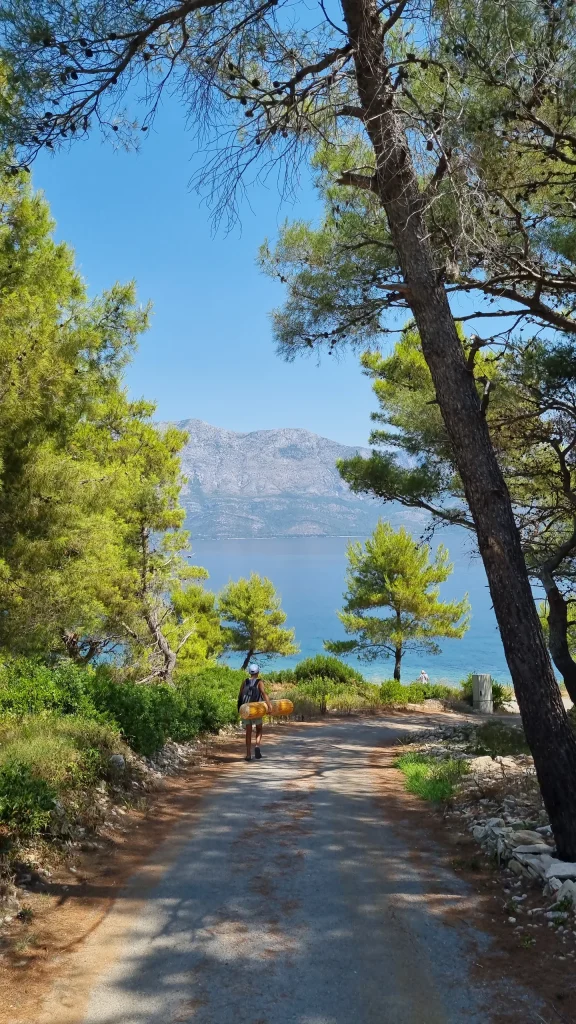 Walker carrying rolled beach mats down a pine-shaded path towards the sea, mountains across the channel