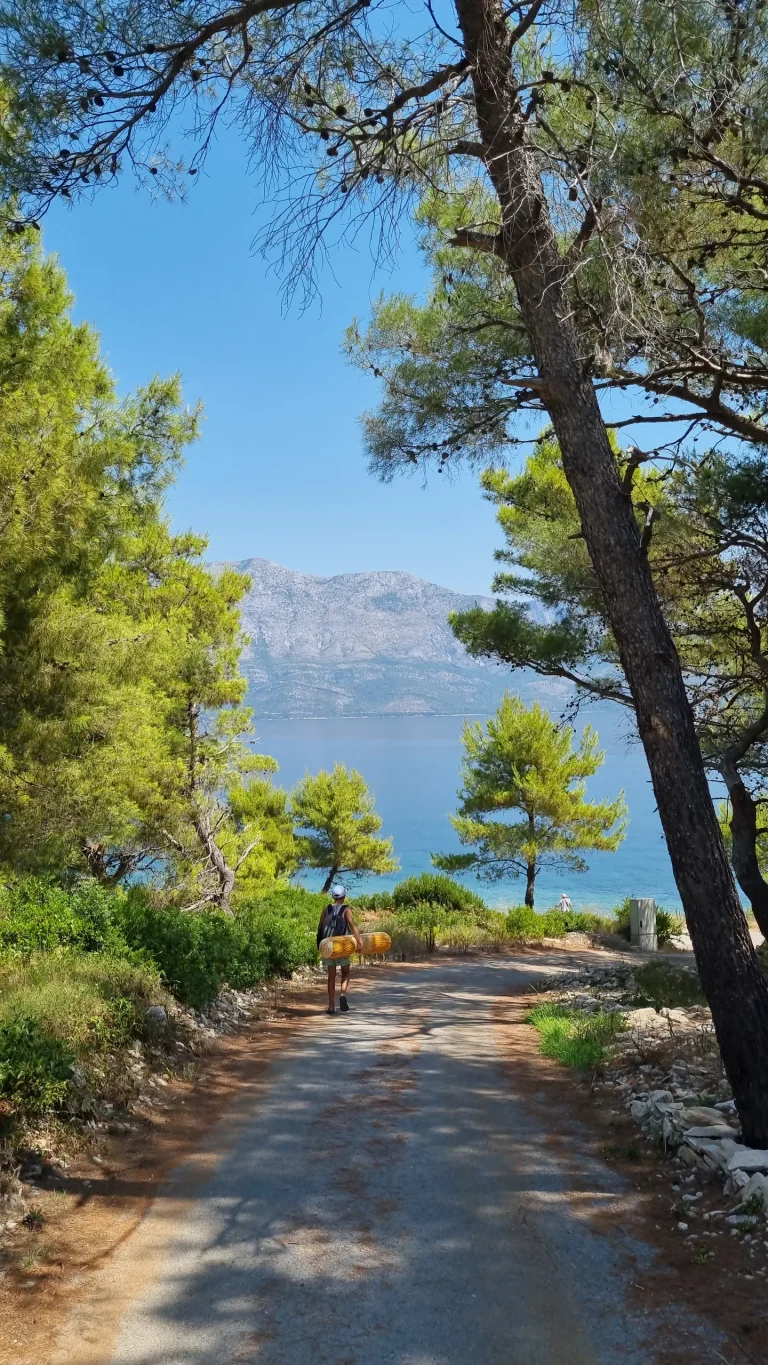 Walker carrying rolled beach mats down a pine-shaded path towards the sea, mountains across the channel