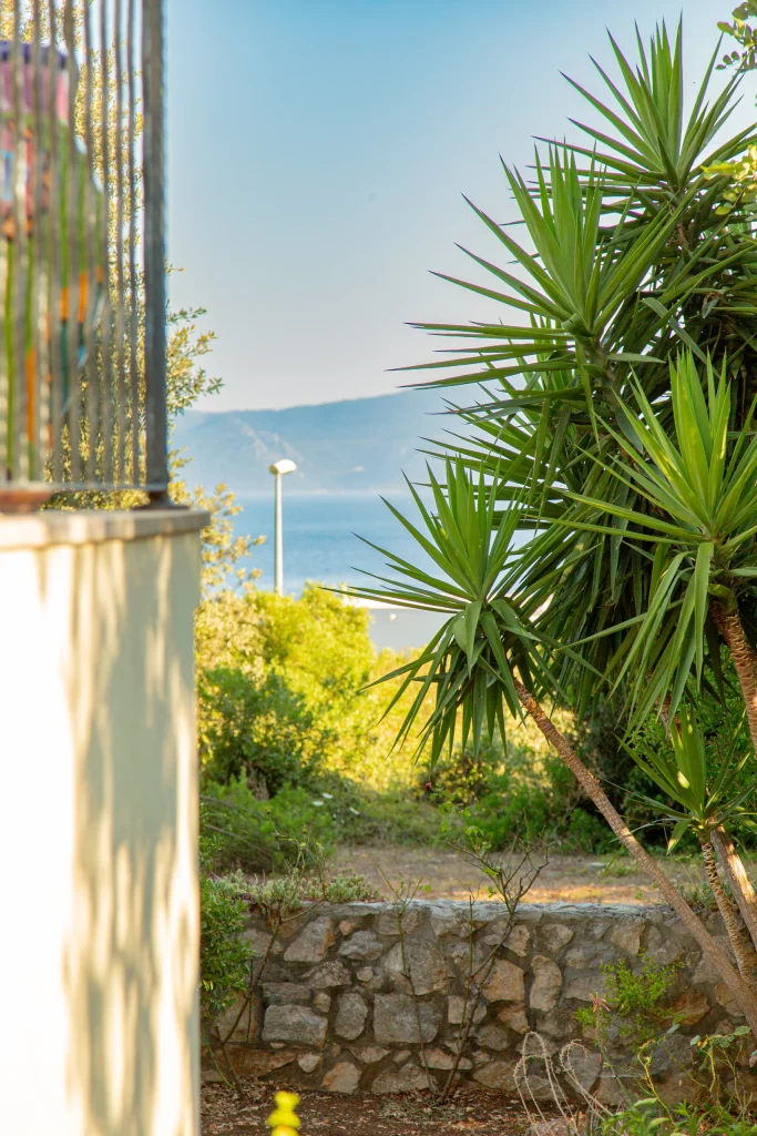 Yucca palms beside a dry stone garden wall, with the sea and a hillside coastline in the background